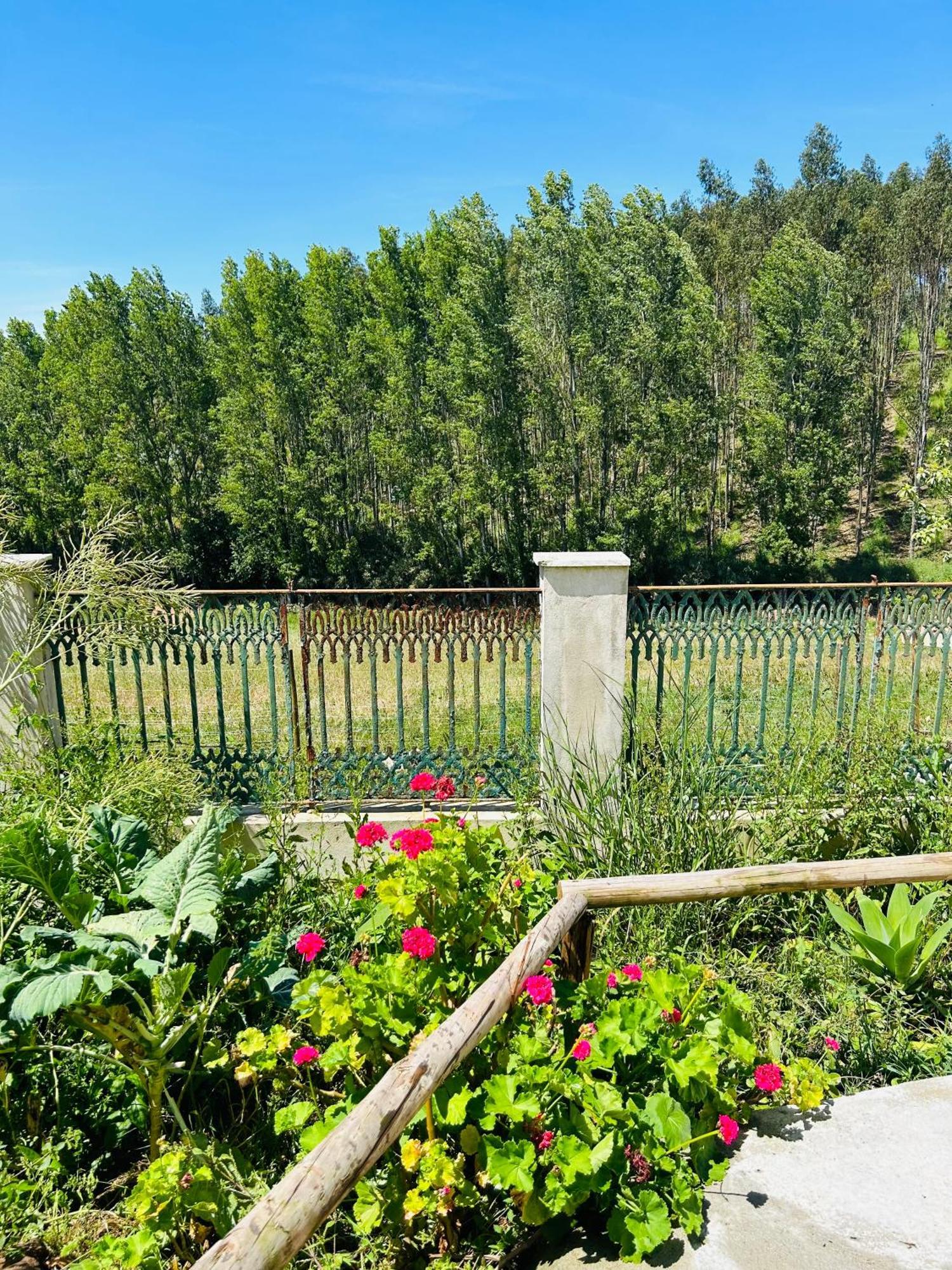 Mae Home Carril Калдаш-да-Раинья Экстерьер фото